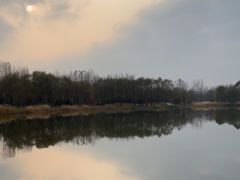 -东郊湿地公园