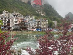 -长寿村
