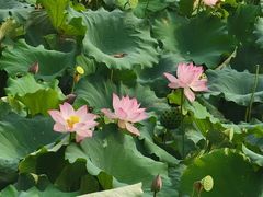 -盐官日光域房车营地·有盐餐厅