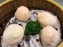 -湛江民大喜来登酒店-采悦轩中餐厅