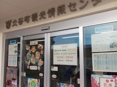 -美国村