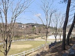 -徐妹串串香(春熙路店)