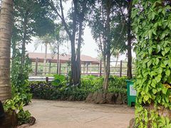 -海南热带野生动植物园