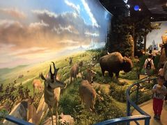 -陕西自然博物馆