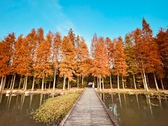 -长广溪湿地公园
