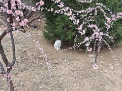 -山东大学(兴隆山校区)