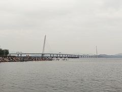 -深圳湾公园(南山区)