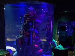 -沈阳海洋探索中心