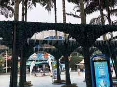 -海合安成都极地海洋公园