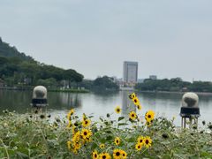 -顺峰山公园