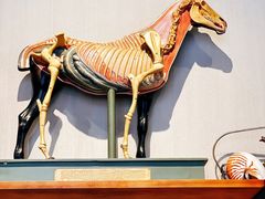 -中国油画院咖啡馆