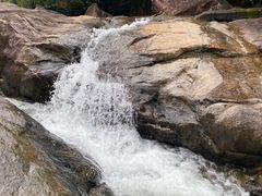 -广州白江湖森林公园