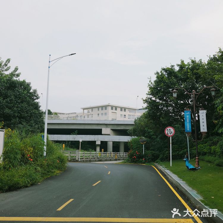 马峦北路.深圳又一条小众的日系片公路！