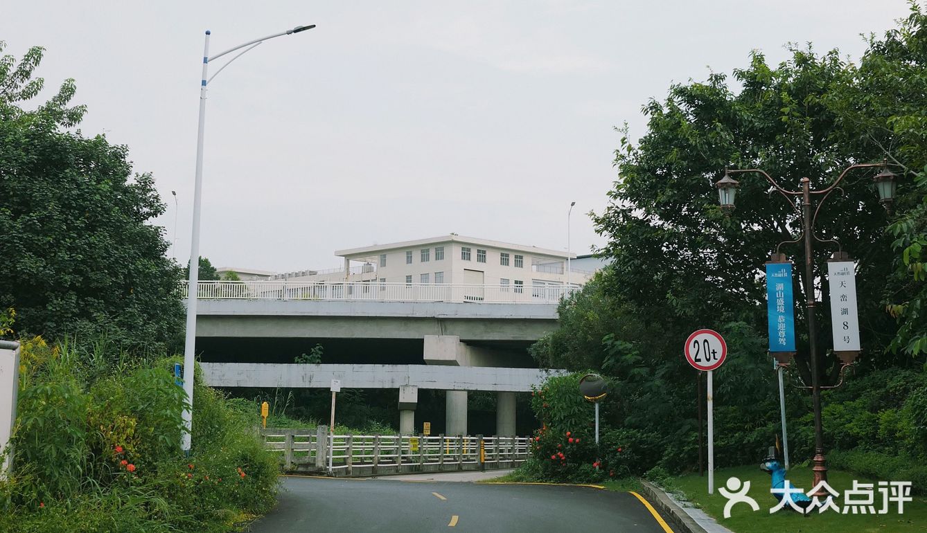 马峦北路.深圳又一条小众的日系片公路！