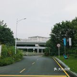 马峦北路.深圳又一条小众的日系片公路！