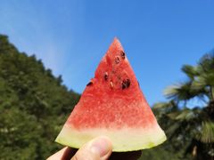 -大奇山国家森林公园