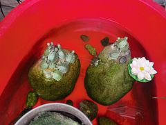 -炙韩料理·部队锅专门店