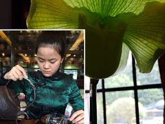 大可堂普洱茶馆-大可堂普洱茶馆(襄阳南路馆)