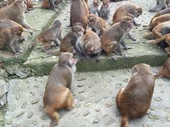 iphone_upload_pic-广西龙虎山风景区