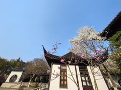 -红梅公园
