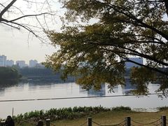 -南宁南湖公园