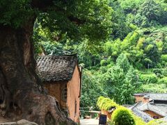 -杨家堂村