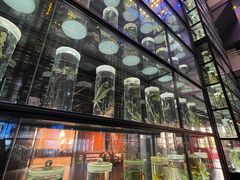 -广东中医药博物馆