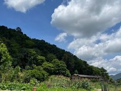 -福建土楼(南靖)景区