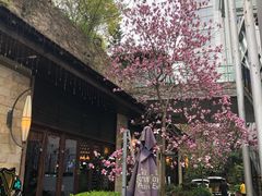 -证大大拇指广场(芳甸路店)