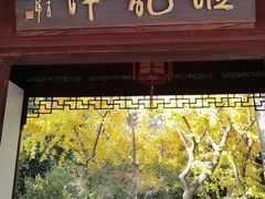-汇龙潭