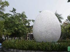 -100蛋泥浆浴