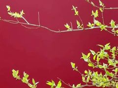 -曲阜师范大学(曲阜校区)