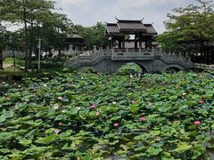 -惠州西湖丰渚园