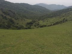 -大姆山草场