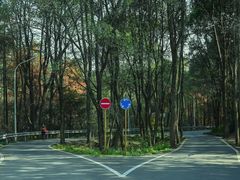 -青龙山国家森林公园
