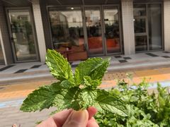 -Sips&Lick茶兰咖啡(五道口店)