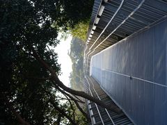 -福道