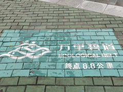 -飞来湖湿地公园