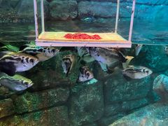 -沈阳海洋探索中心