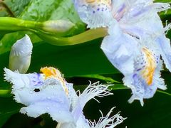 -三台山庄中餐厅