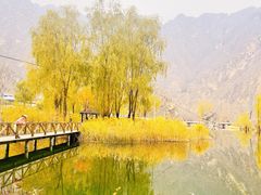 -百里山水画廊