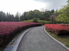 -凤城河风景区