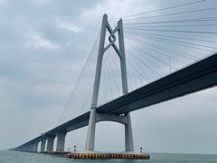 -招商蛇口邮轮母港(观光客运)