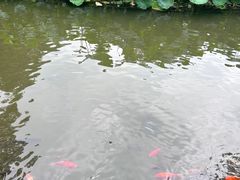 -成都杜甫草堂博物馆