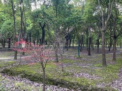-嘉北郊野公园