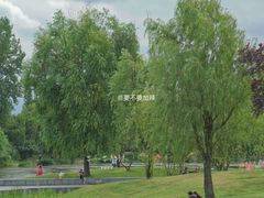 -两河城市森林公园