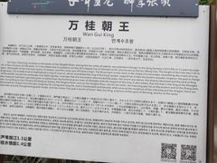 -张坝桂圆林公园