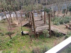 -黔灵山公园