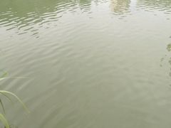 -江头公园