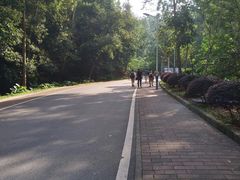 -火炉山森林公园